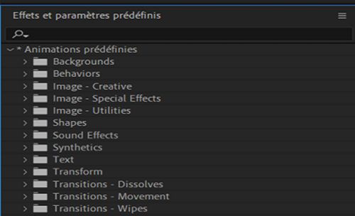 Préréglages d’animation actualisés