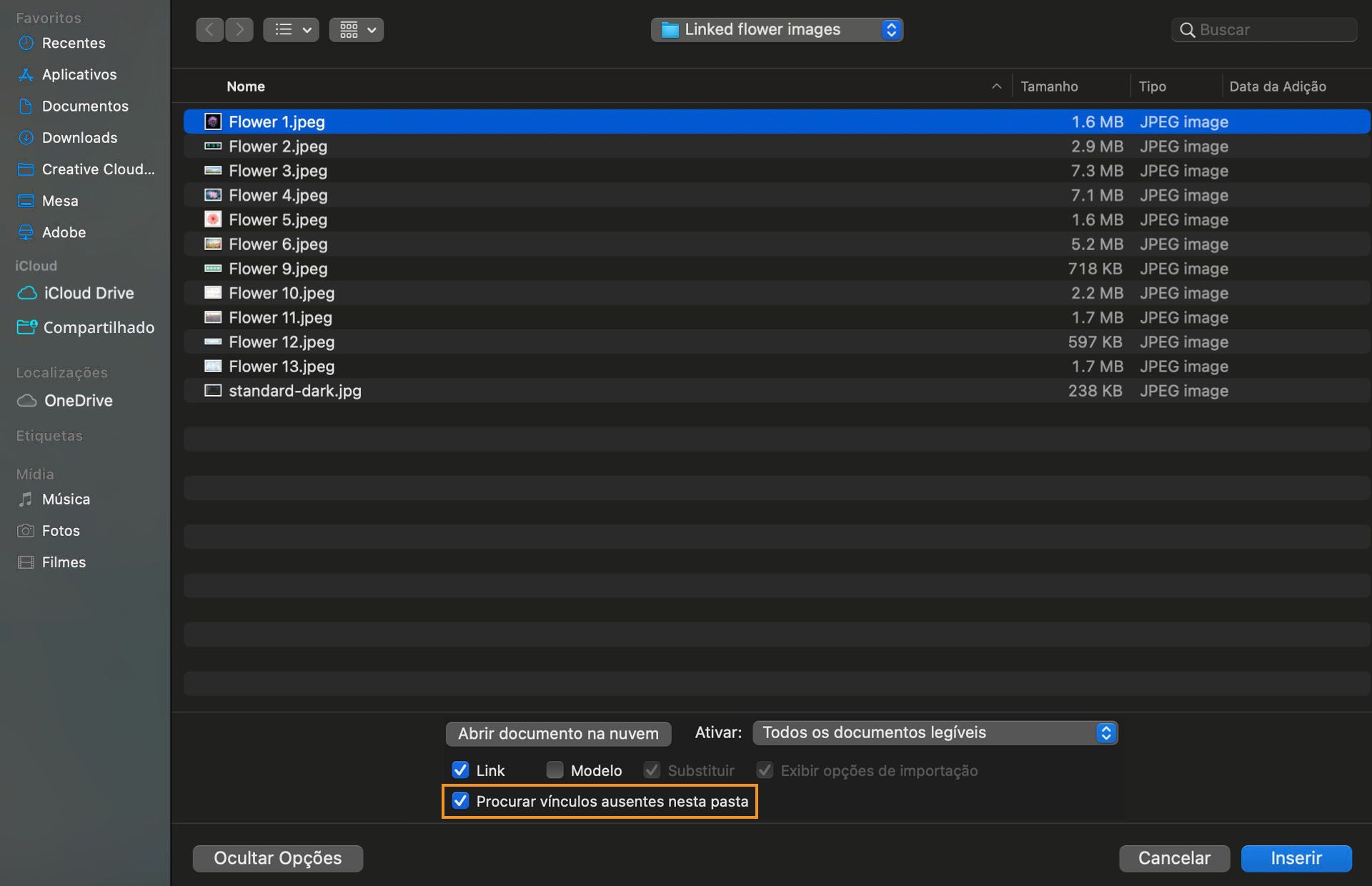 A caixa de diálogo mostra a lista de arquivos ausentes com a opção Procurar vínculos ausentes nesta pasta destacada.