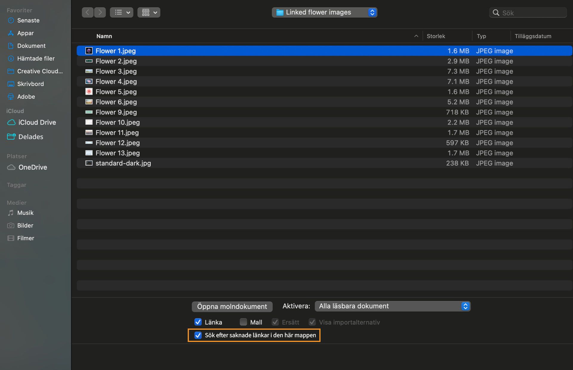 I dialogrutan visas listan med saknade filer med alternativet Sök efter saknade länkar i den här mappen markerat.