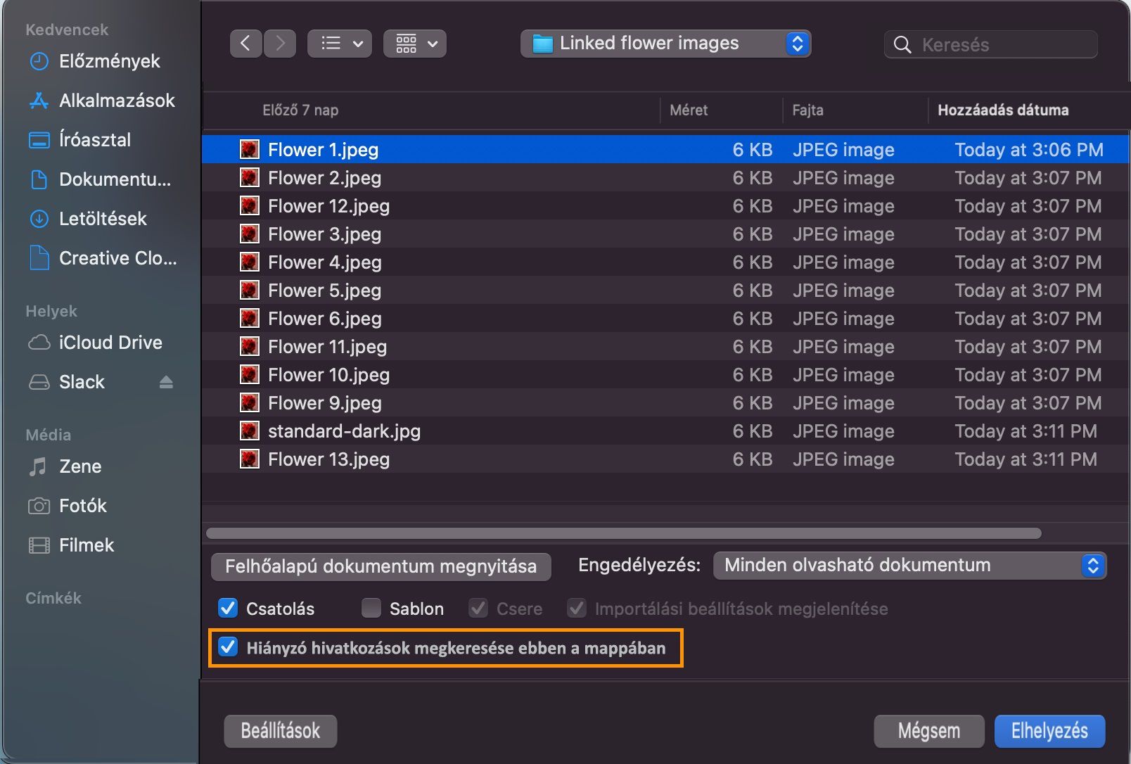 A párbeszédablakban megjelenik a hiányzó fájlok listája, amelyben a Hiányzó hivatkozások keresése ebben a mappábanlehetőség ki van jelölve.