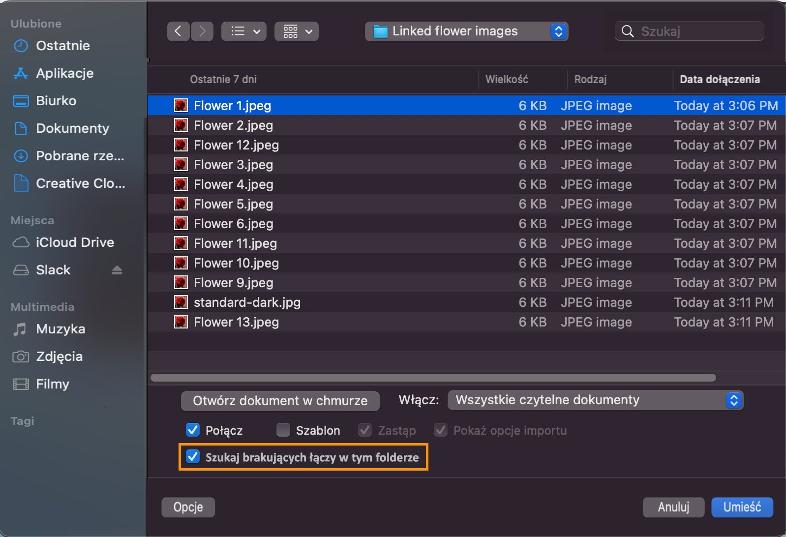 W oknie dialogowym wyświetlana jest lista brakujących plików z podświetloną opcją „Szukaj brakujących łączy w tym folderze”.