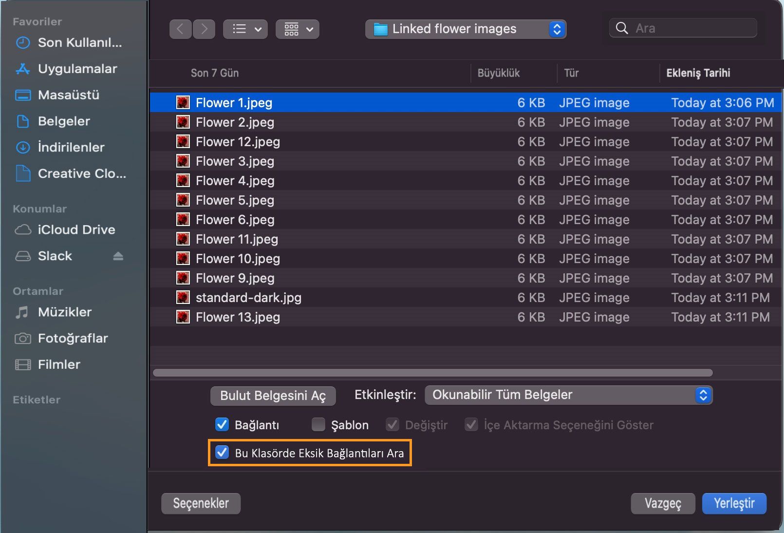 İletişim kutusu, Bu Klasörde Eksik Bağlantıları Ara seçeneği vurgulanmış olarak eksik dosyaların listesini gösterir.