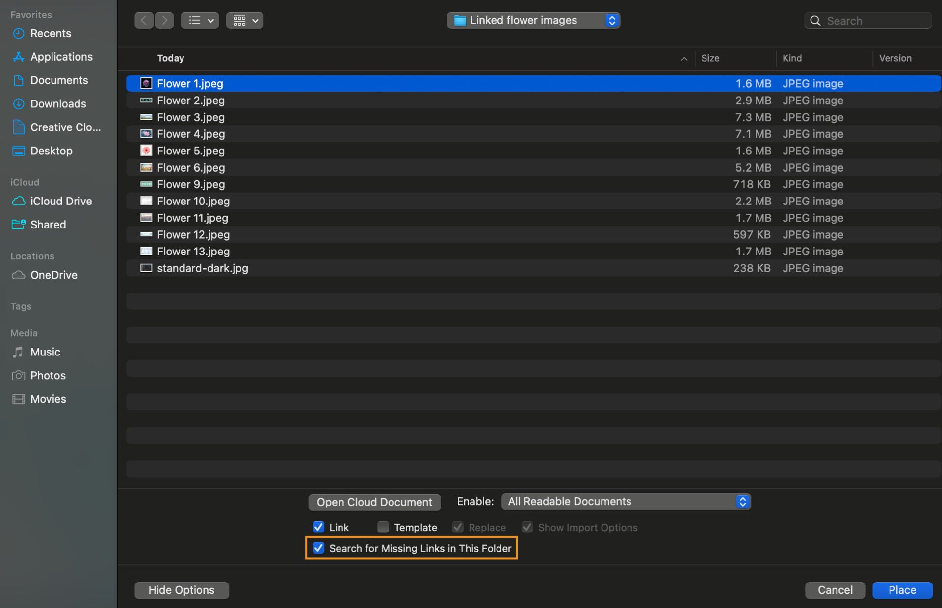 يعرض مربع الحوار قائمة الملفات المفقودة مع تمييز الخيار Search for Missing Links in This Folder.