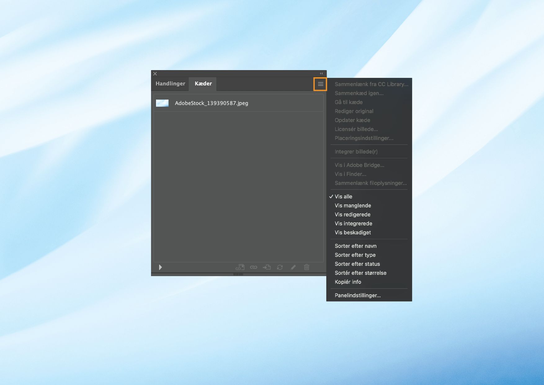Panelet Kæder med panelmenuen åben, der viser forskellige muligheder for at håndtere sammenkædede og indlejrede filer.