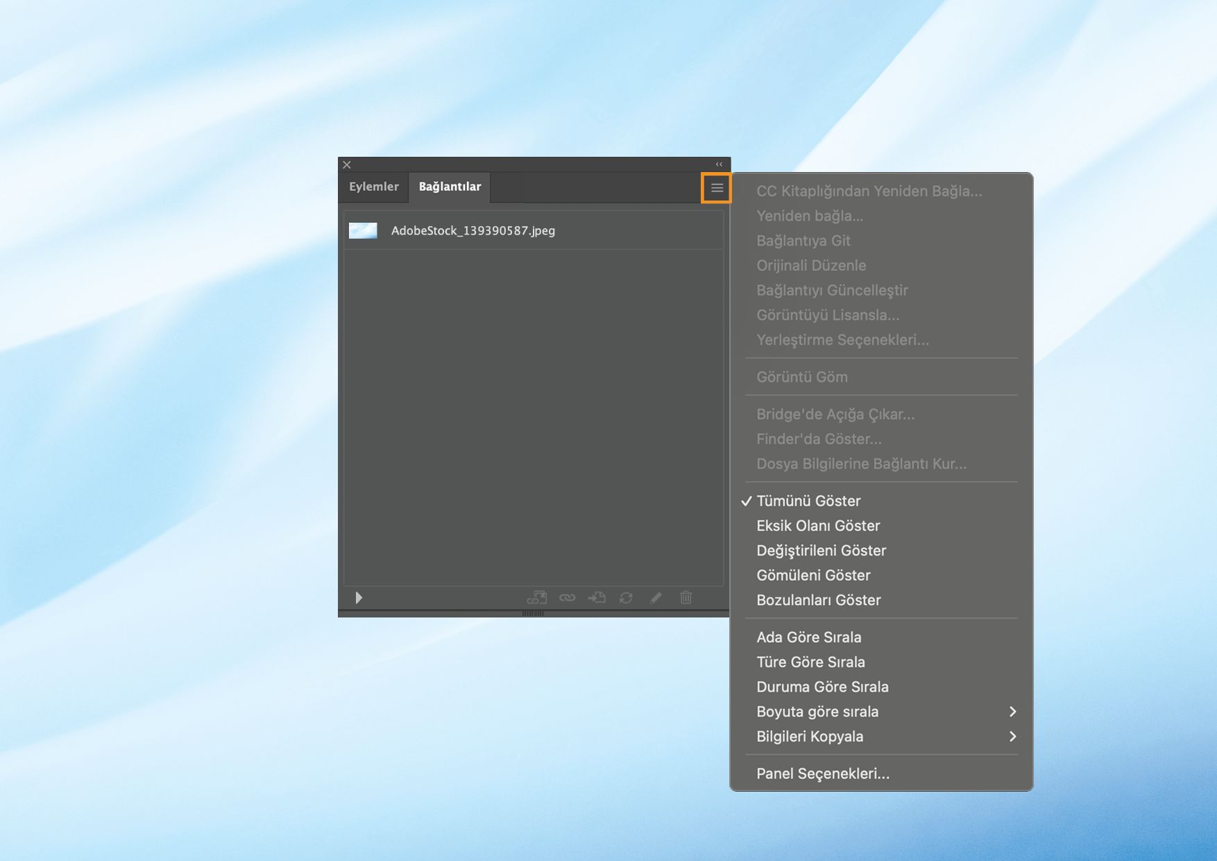Bağlantılı ve gömülü dosyaları yönetmek için çeşitli seçenekleri gösteren, panel menüsü açık Bağlantılar paneli.