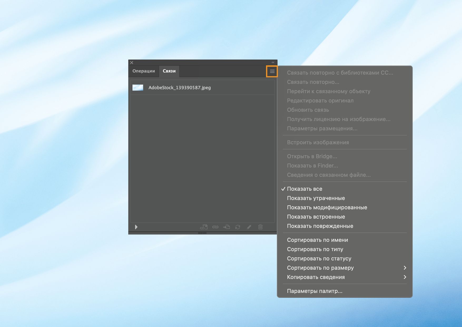Откроется панель «Связи» с меню, в котором отображаются различные параметры управления связанными и встроенными файлами.