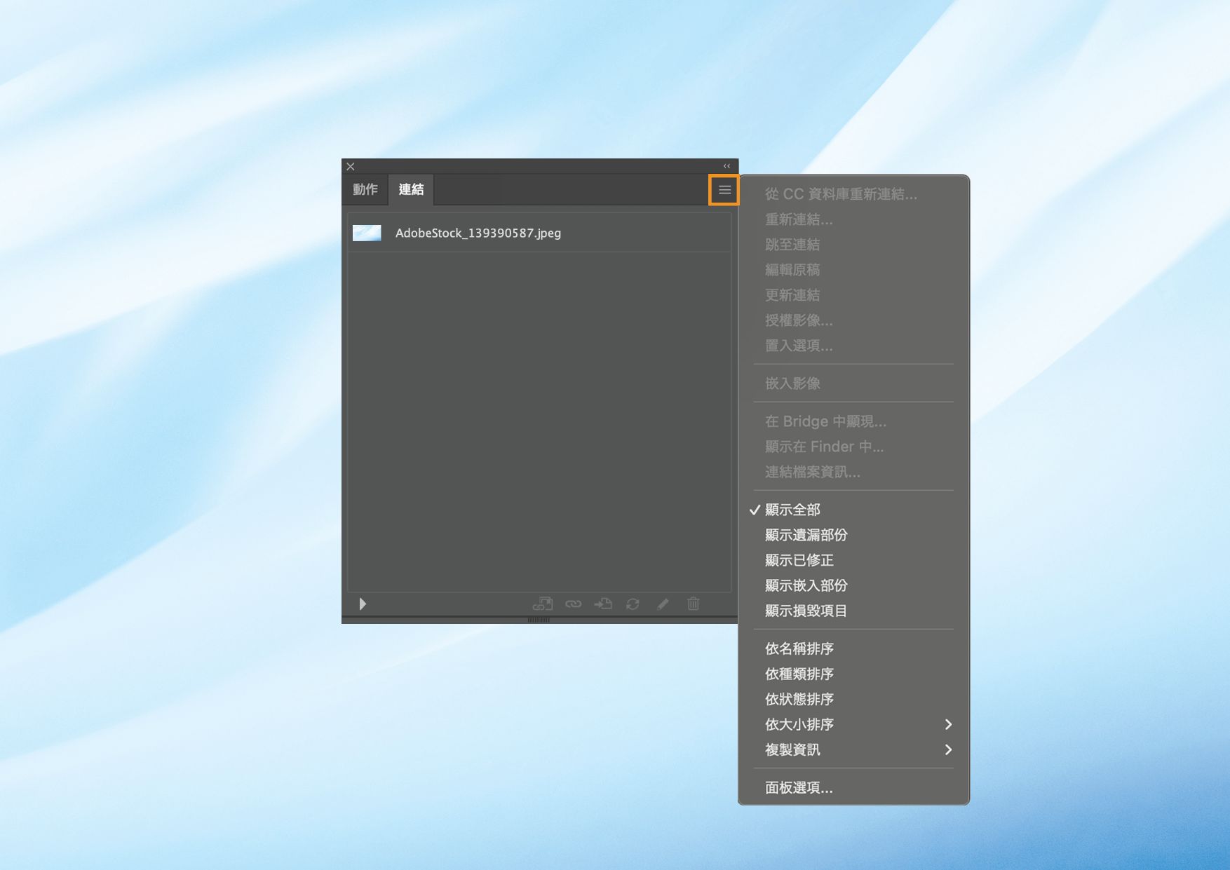 開啟面板選單後的「連結」面板中，選單會顯示管理已連結和內嵌檔案的各種選項。