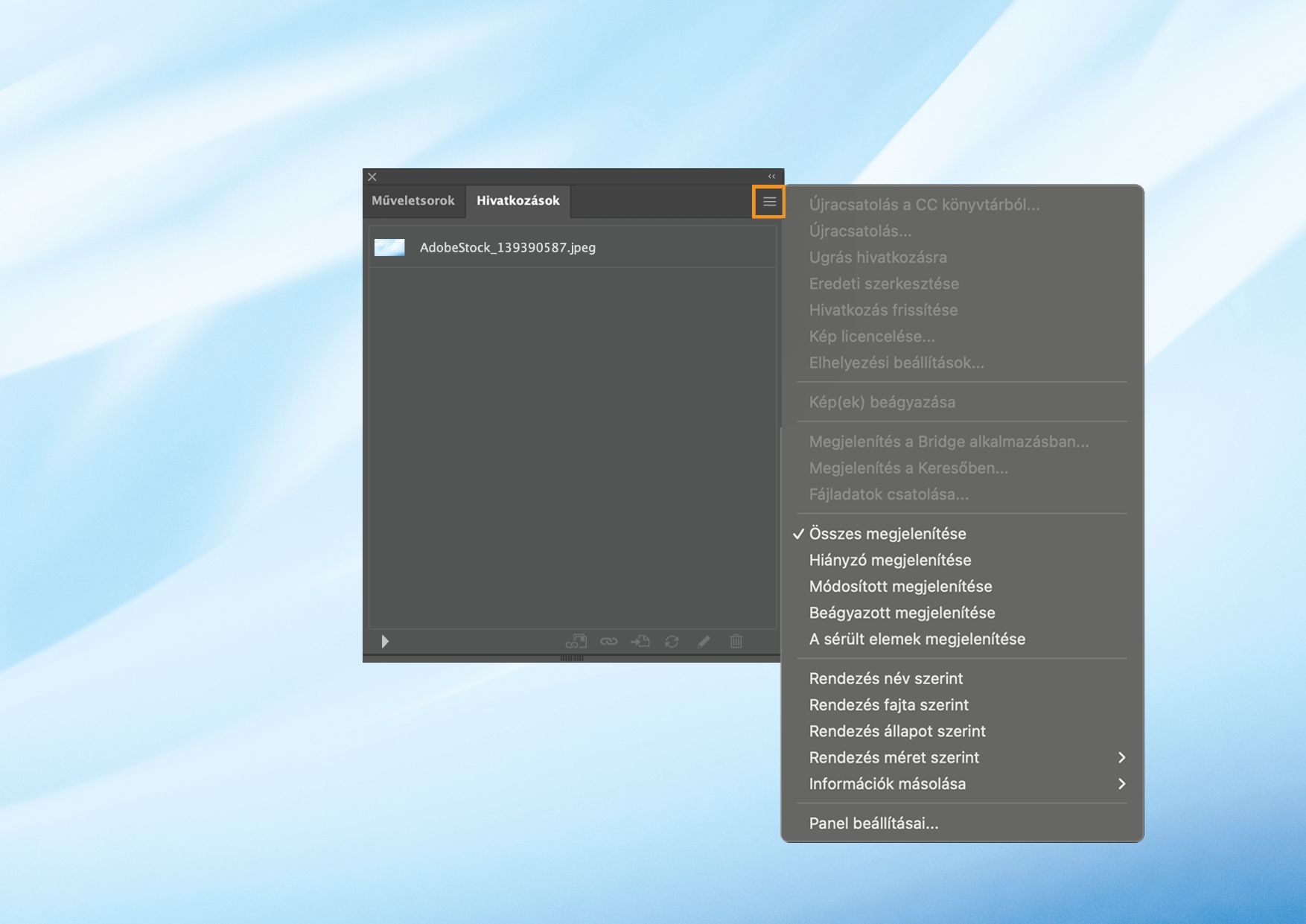 A Hivatkozások panel megnyitott panelmenüvel, amelyen számos beállítás található a hivatkozott és beágyazott fájlok kezelésére.