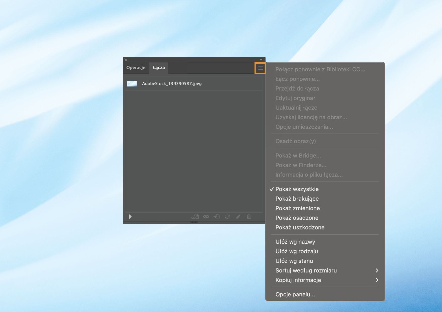 Panel Łącza z otwartym menu panelu, które zawiera różne opcje zarządzania połączonymi i osadzonymi plikami.