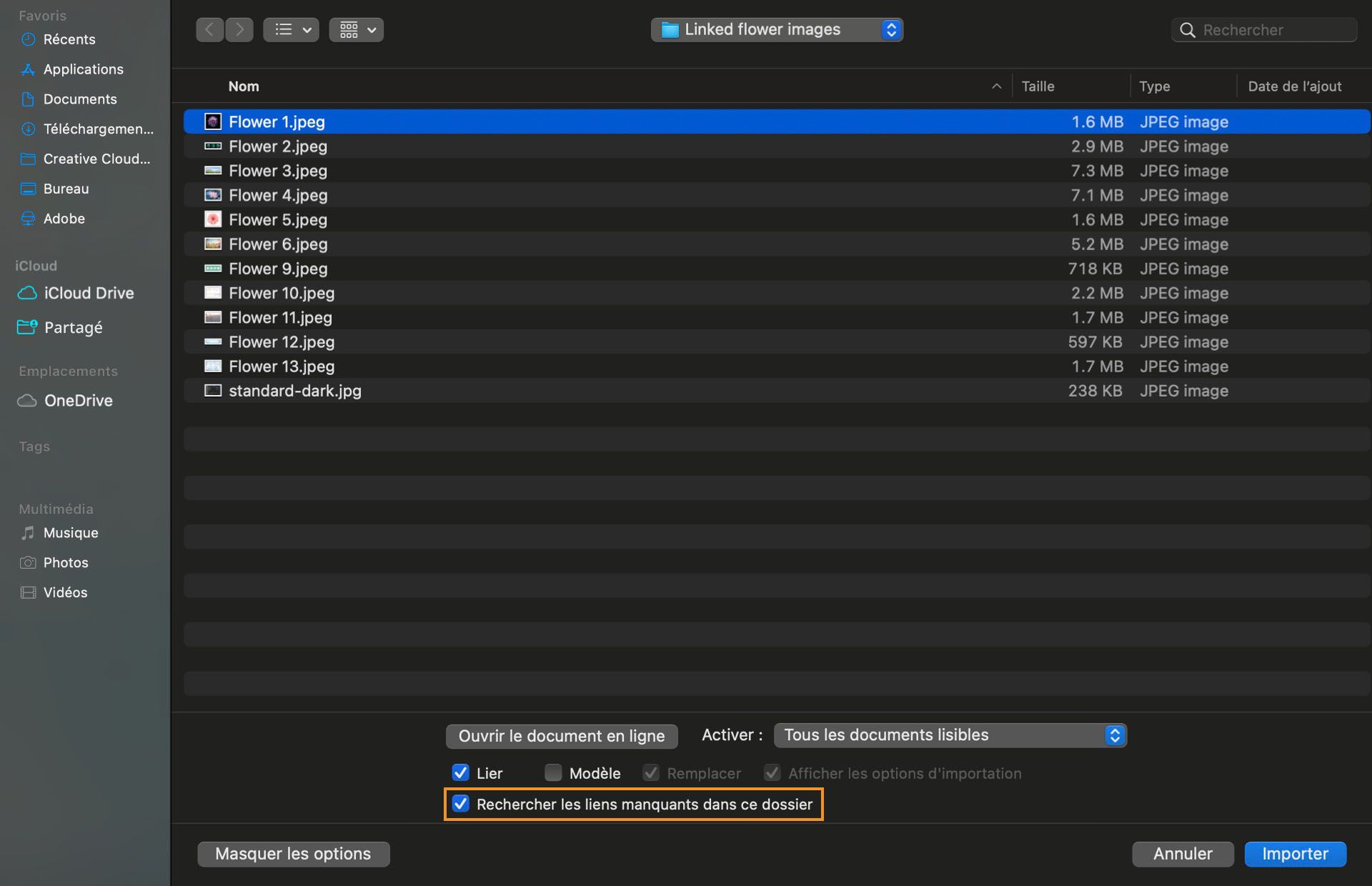 Boîte de dialogue affichant la liste des fichiers manquants avec l’option « Rechercher les liens manquants dans ce dossier » encadrée.