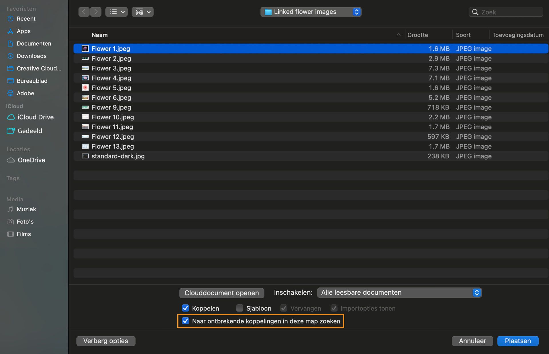 Het dialoogvenster toont de lijst met ontbrekende bestanden, waarbij de optie 'Naar ontbrekende koppelingen in deze map zoeken' is gemarkeerd.
