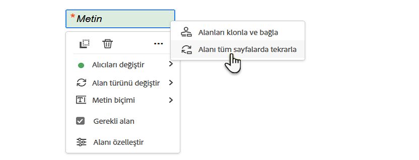 Alanı tüm sayfalarda tekrarla