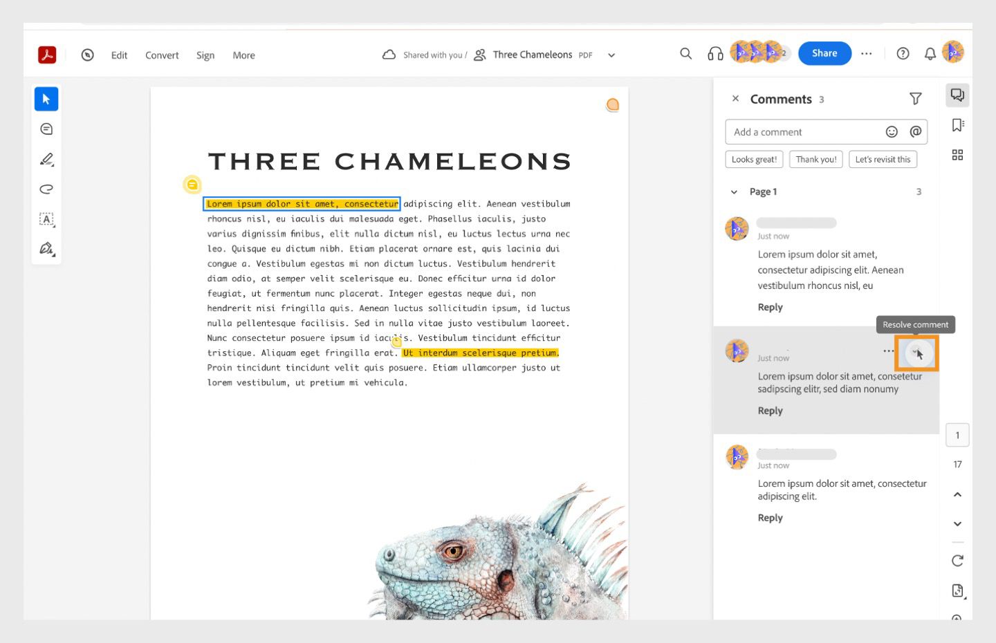 תהליך העבודה של Resolve selected comment מוצג