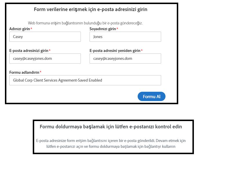 Bir web formu imzalayanı web formuna ilk eriştiğinde sunulan güvenlik paneli.