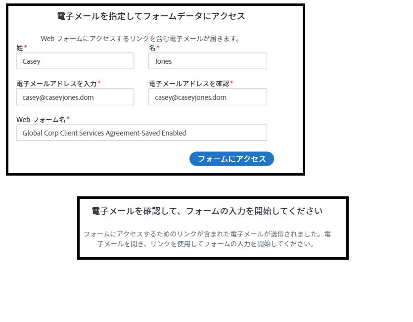 Web フォーム署名者が最初に web フォームにアクセスしたときに表示されるメッセージパネル。