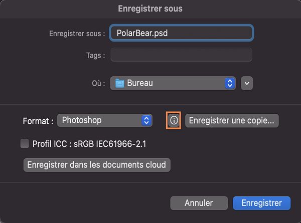 Vous ne voyez pas le format souhaité tel que JPEG ou PNG ? Enregistrez une copie de votre document pour tous les formats.