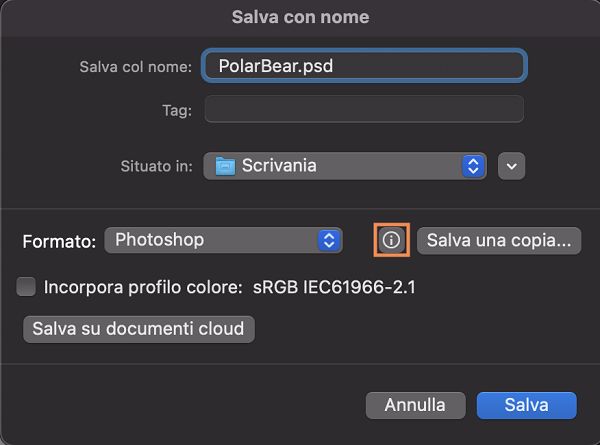 Non riuscite a visualizzare l’estensione di file desiderata, come JPEG o PGN? Salvate una copia del documento per tutti i formati