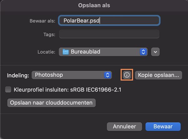 Ziet u niet de gewenste indeling, zoals JPEG of PNG? Een kopie van uw document opslaan voor alle indelingen