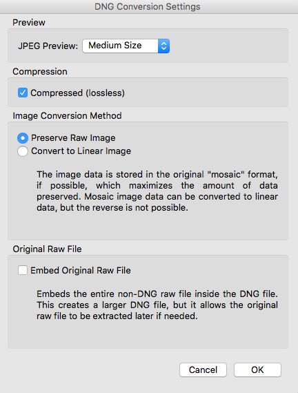 Dialogboksen Konverteringsinnstillinger for DNG i Adobe Bridge