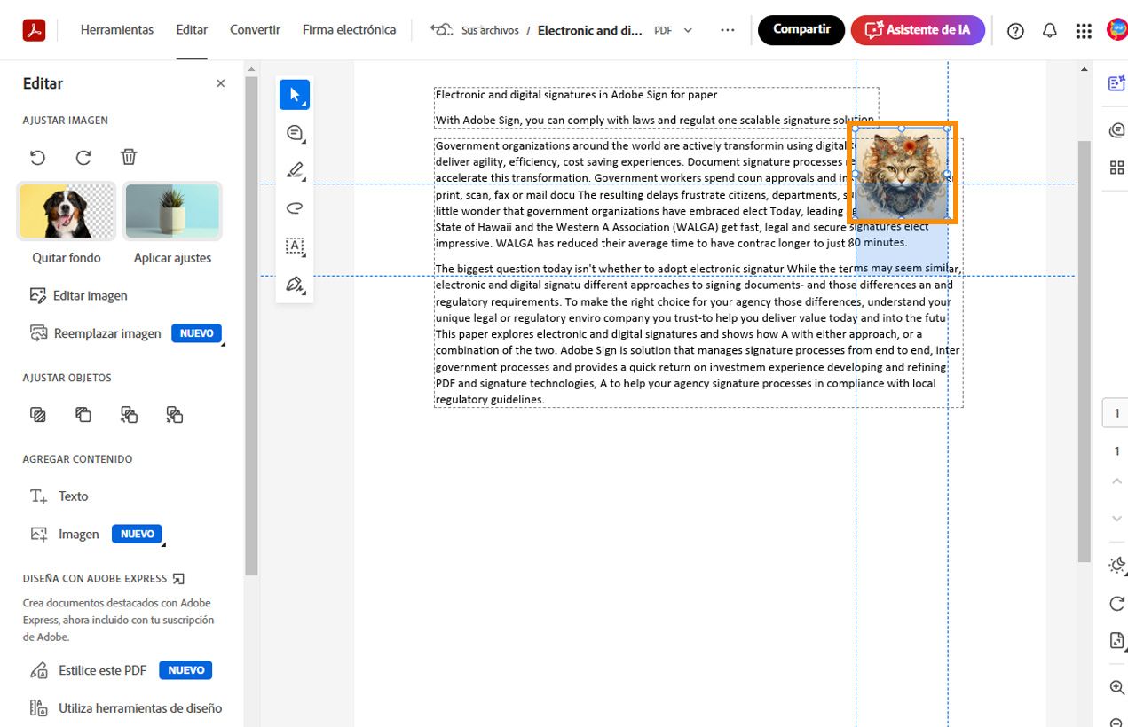 La imagen seleccionada muestra líneas de puntos horizontales y verticales para alinearla y posicionarla. Las herramientas de producción de imágenes se muestran en el panel izquierdo.