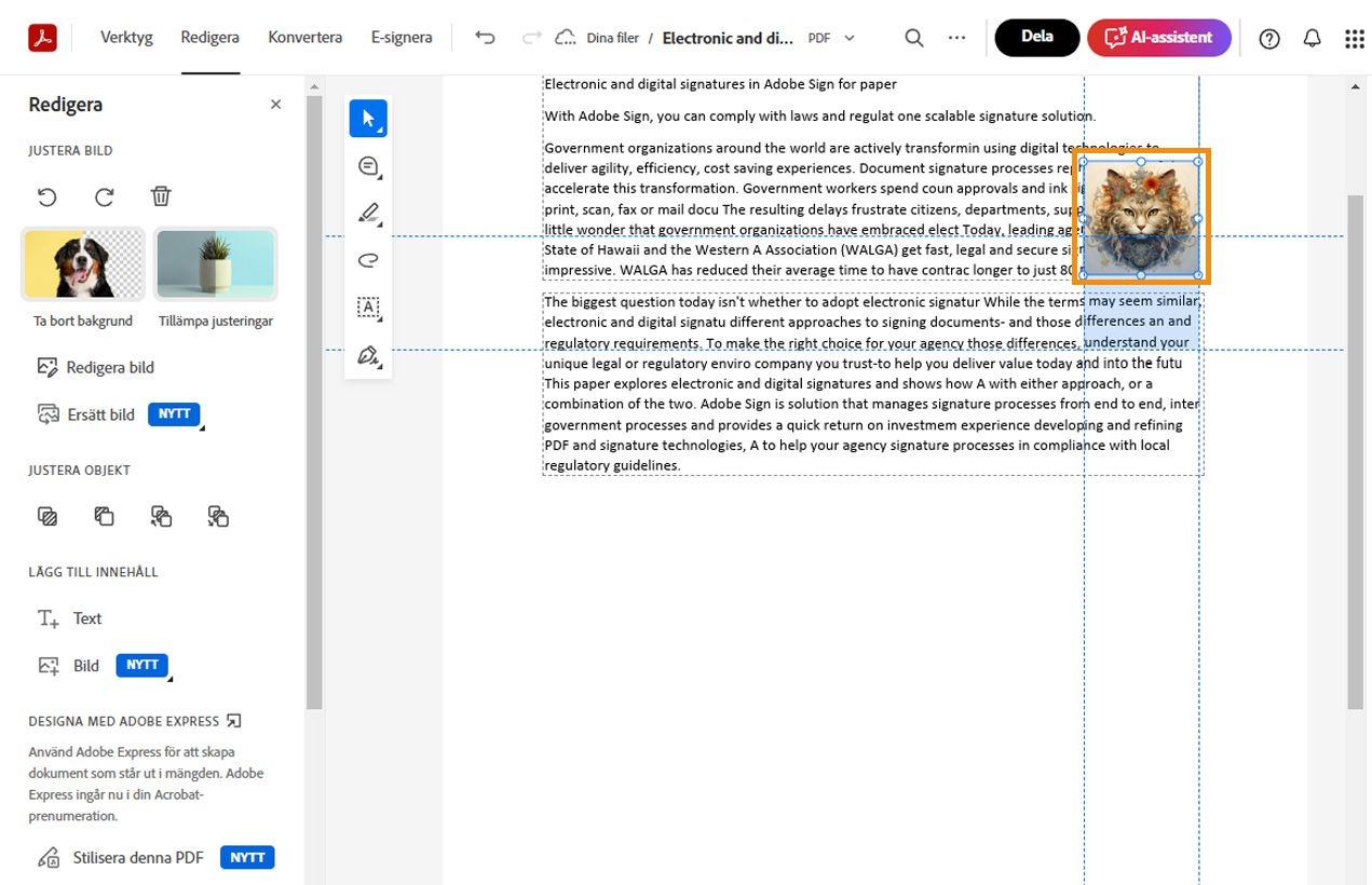 Den valda bilden visar horisontella och vertikala prickade linjer för att justera och placera den. Bildredigeringsverktyg visas i den vänstra panelen.