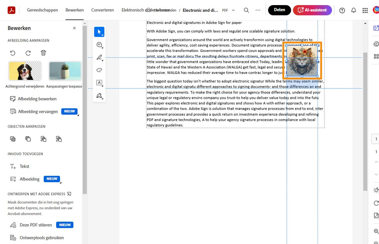 De geselecteerde afbeelding toont horizontale en verticale stippellijnen om uit te lijnen en te positioneren. Beeldbewerkingstools worden in het linkerdeelvenster weergegeven.
