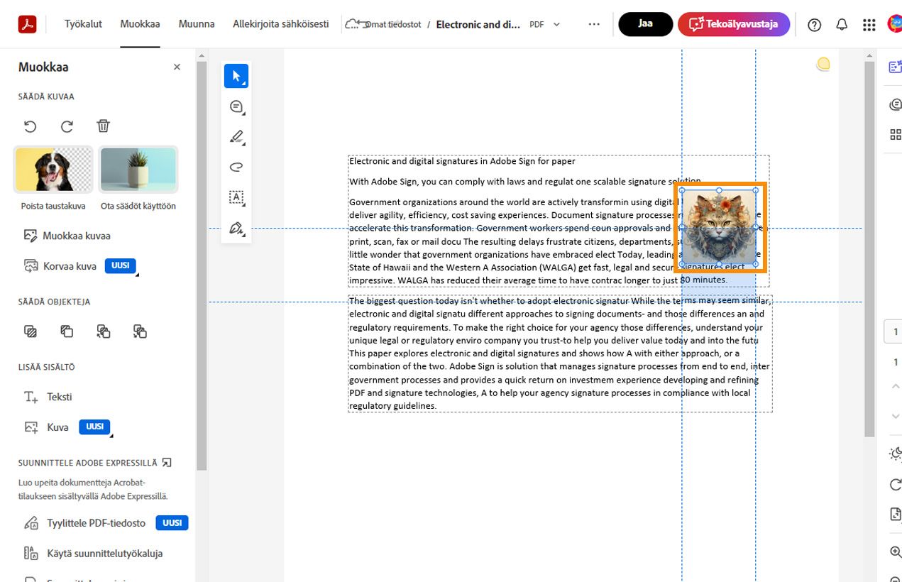 Valitussa kuvassa on vaaka- ja pystysuoria katkoviivoja kuvan tasaamiseksi ja sijoittamiseksi. Kuvan muokkaustyökalut näkyvät vasemmanpuoleisessa ruudussa.