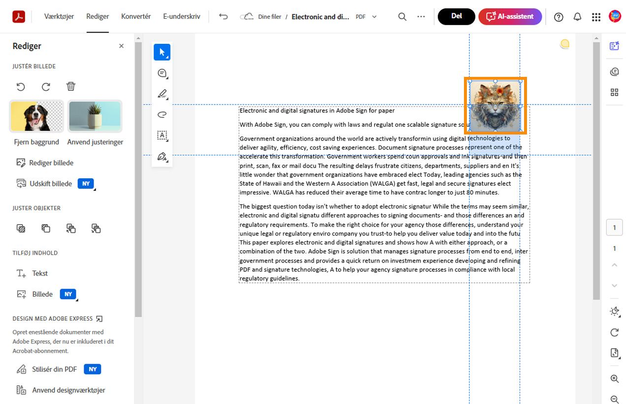 Det markerede billede viser vandrette og lodrette stiplede linjer for at justere og placere det. Værktøjer til billedredigering vises i den venstre rude.