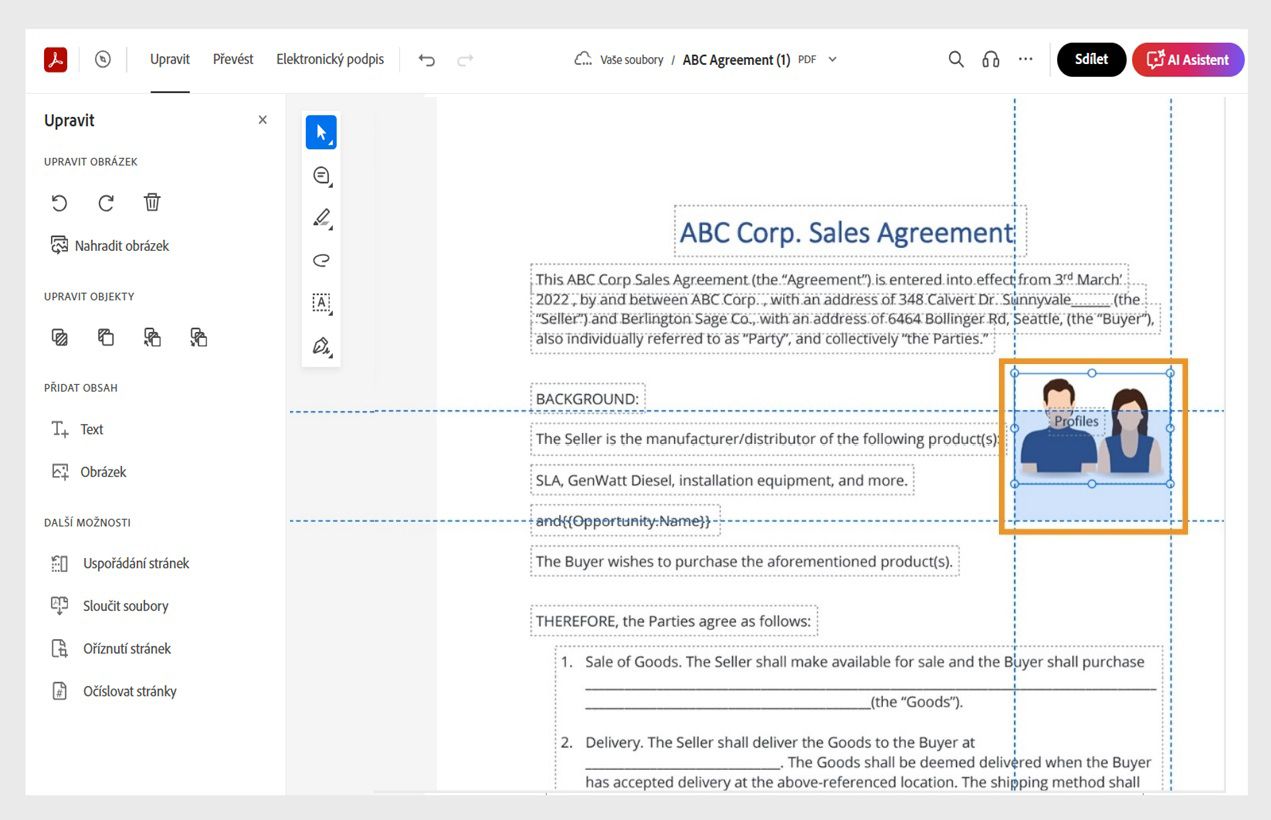 Vybraný obrázek zobrazuje vodorovné a svislé tečkované čáry pro zarovnání a umístění. Nástroje pro úpravy obrázků jsou zobrazeny v levém podokně.