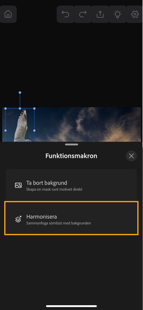 Skärmbild av ett dokument i Photoshop på iPhone med panelen Funktionsmakron öppen och alternativet Harmonisera markerat.