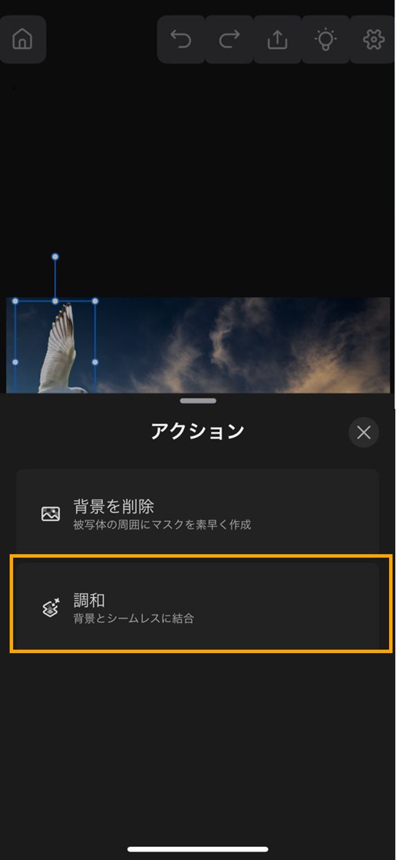 アクションパネルが開き、「調和」オプションがハイライト表示されている、Photoshop iPhone 版のドキュメントのスクリーンショット。