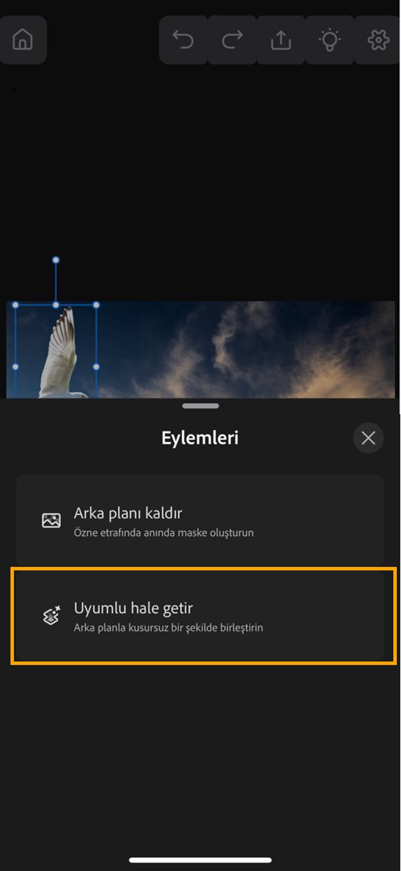 Eylemler paneli açık ve Uyumlu Hale Getir seçeneği vurgulanmış şekilde bir belgenin iPhone'da Photoshop ekran görüntüsü.