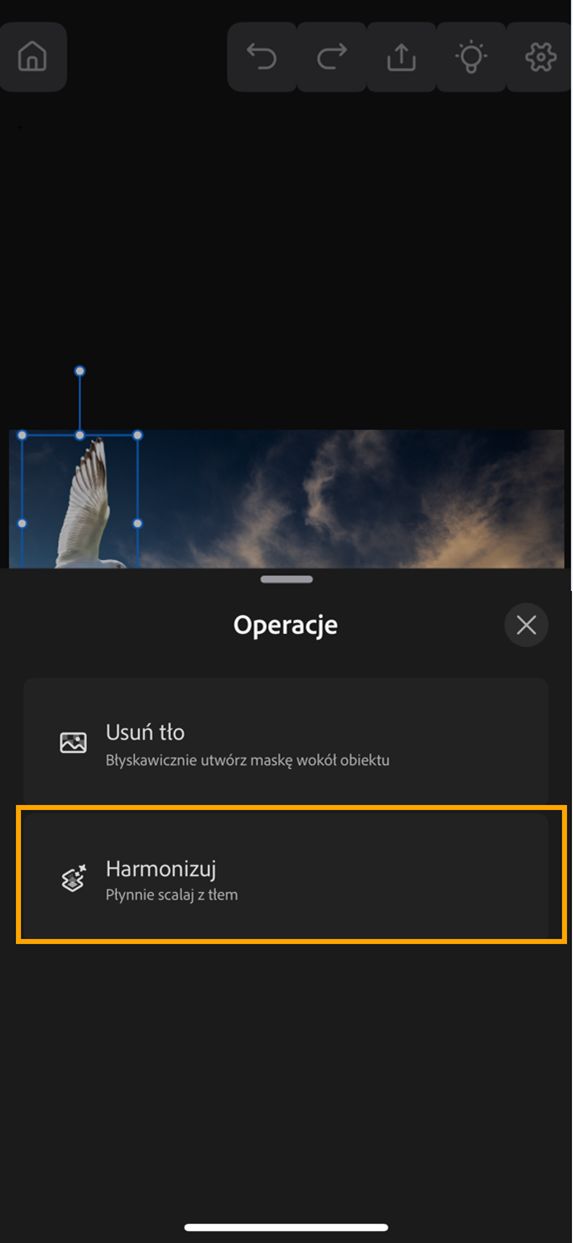 Zrzut ekranu dokumentu w programie Photoshop na telefonie iPhone z otwartym panelem Operacje i podświetloną opcją Harmonizacja.