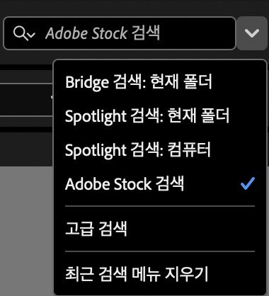 search-bridge-workspace