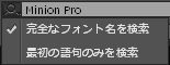 検索オプション