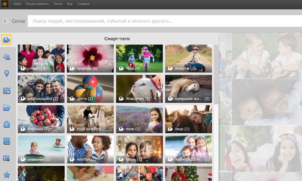 Поиск фотографий и видео с использованием смарт-тегов в Elements Organizer