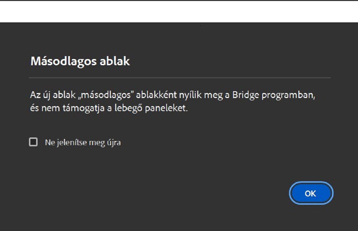 Ismerje meg a másodlagos ablak megnyitásakor megjelenő másodlagos ablak párbeszédpanelt a Bridge alkalmazásban. 