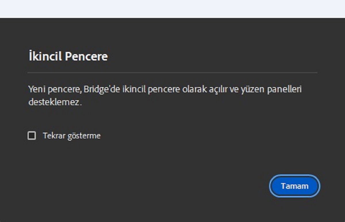 Bridge'de ikincil pencere açıldığında görüntülenen İkincil Pencere iletişim kutusunu keşfedin. 