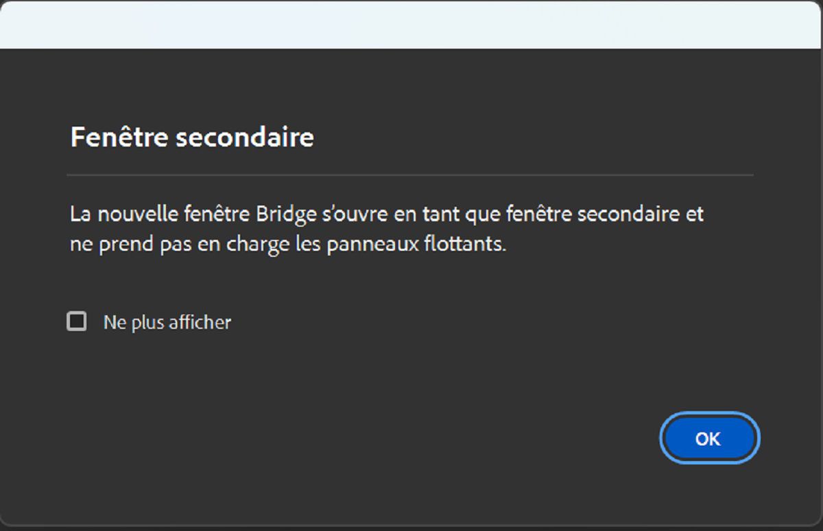 Explorez la boîte de dialogue Fenêtre secondaire qui s’affiche lors du lancement de la fenêtre secondaire dans Bridge. 