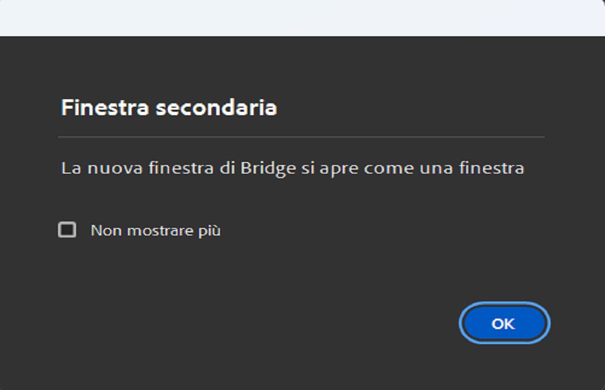 Esplorate la finestra di dialogo Finestra secondaria visualizzata quando avviate una finestra secondaria in Bridge. 