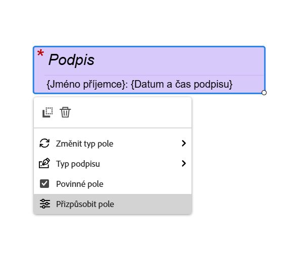 Pole E-podpis se zobrazenou nabídkou po kliknutí levým tlačítkem a zvýrazněným polem Přizpůsobit.