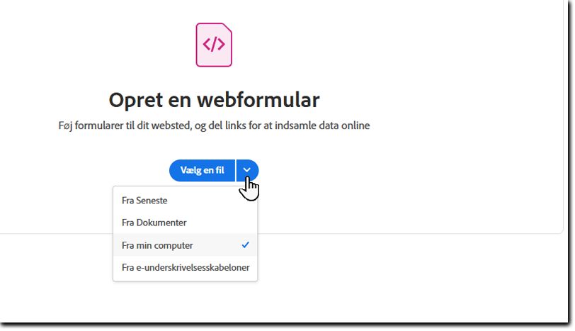 Vælg en fil til webformularen