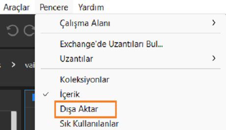 Menü çubuğundaki Pencere seçeneğinden dışa aktar panelini seçme