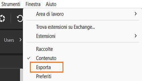 Selezionate il pannello Esporta dall’opzione Finestra nella barra dei menu