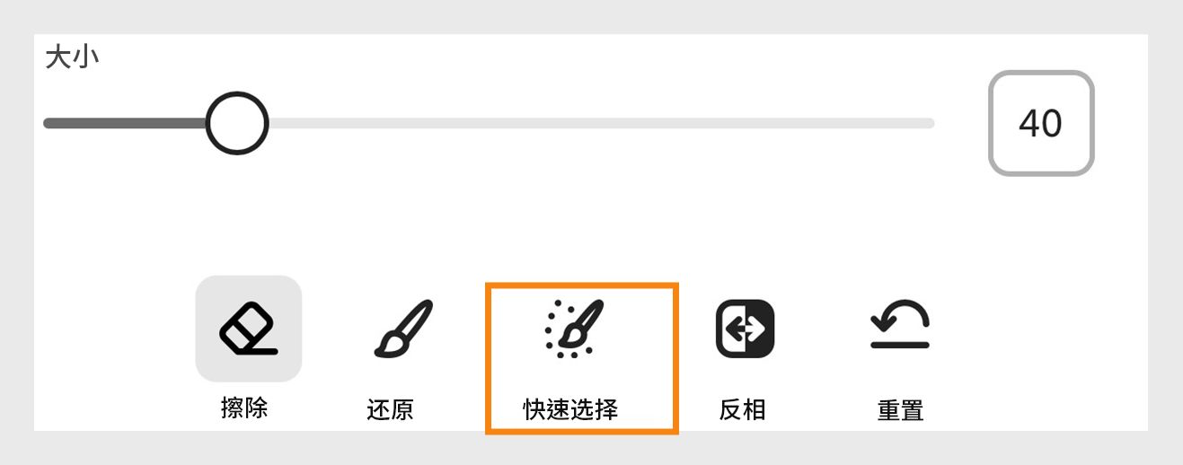 选择“恢复”图标旁边、“尺寸缩放器”下方的“快速选择”图标。 