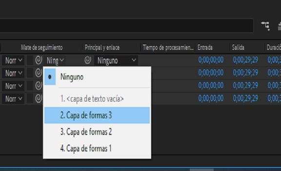 Capa mate de pista seleccionable