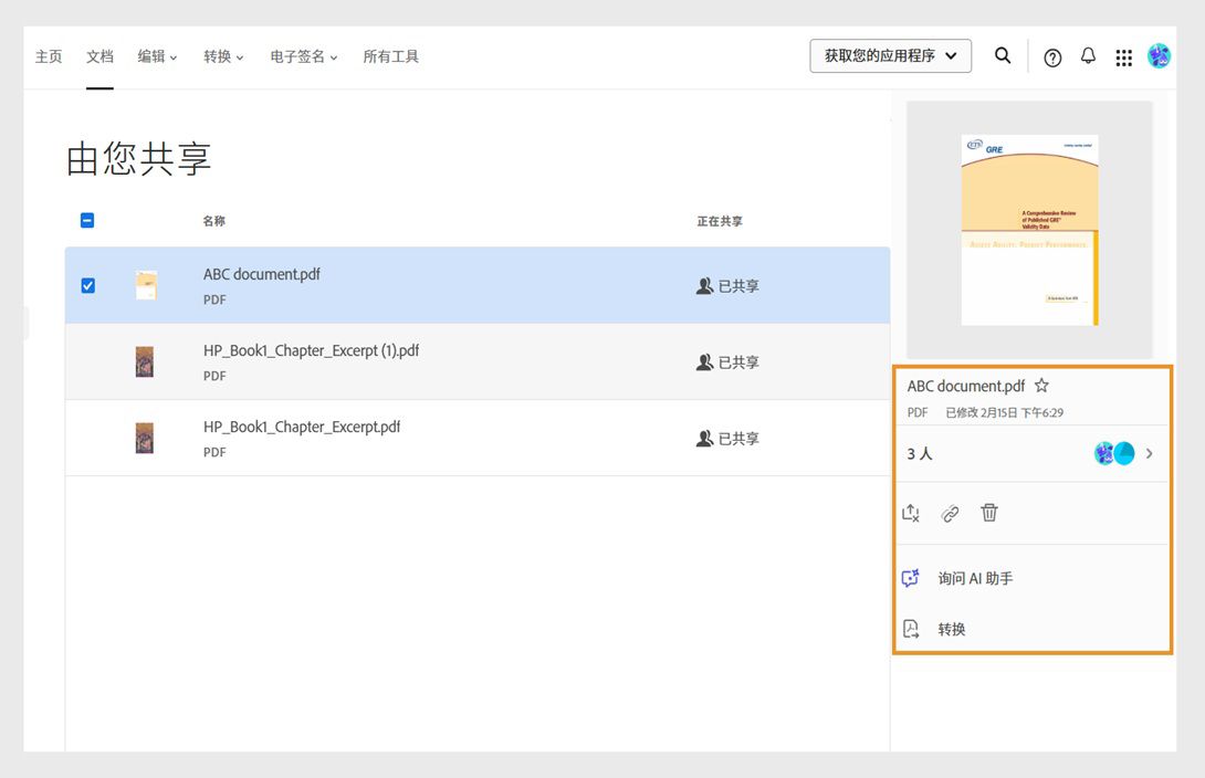 从列表中选择文档会显示工具窗格，可让您查看共享文档的详细信息。