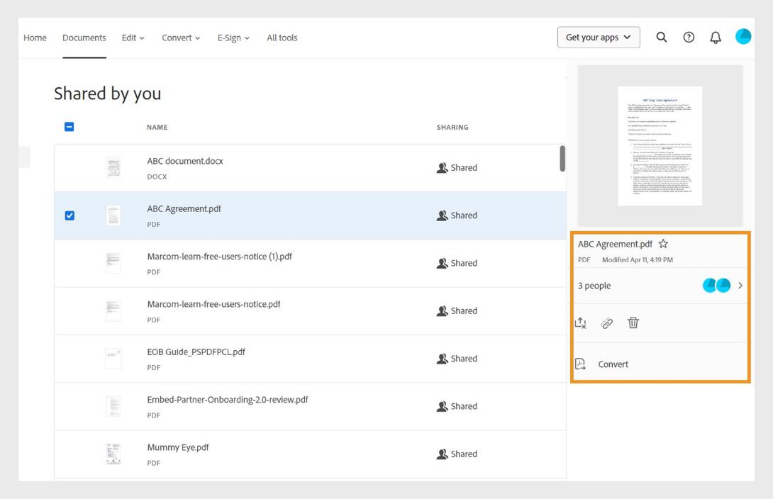 عند تحديد مستند من القائمة، يظهر جزء الأدوات الذي يتيح لك عرض تفاصيل المستند الذي تمت مشاركته.