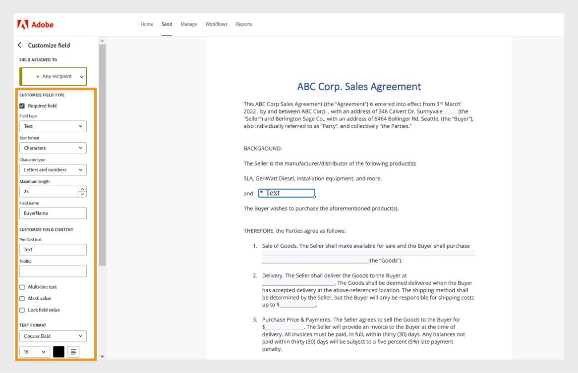 בחירת שדה הטופס מציגה את הכלים עבור התאמה אישית של השדה בלוח השמאלי. הלוח מכיל כלים לתבנית הטקסט של ההגדרה, סוג התו, האורך המרבי, הגדרות הגופן ועוד.