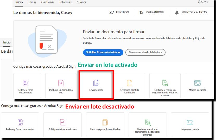 Habilitación de Enviar en lote